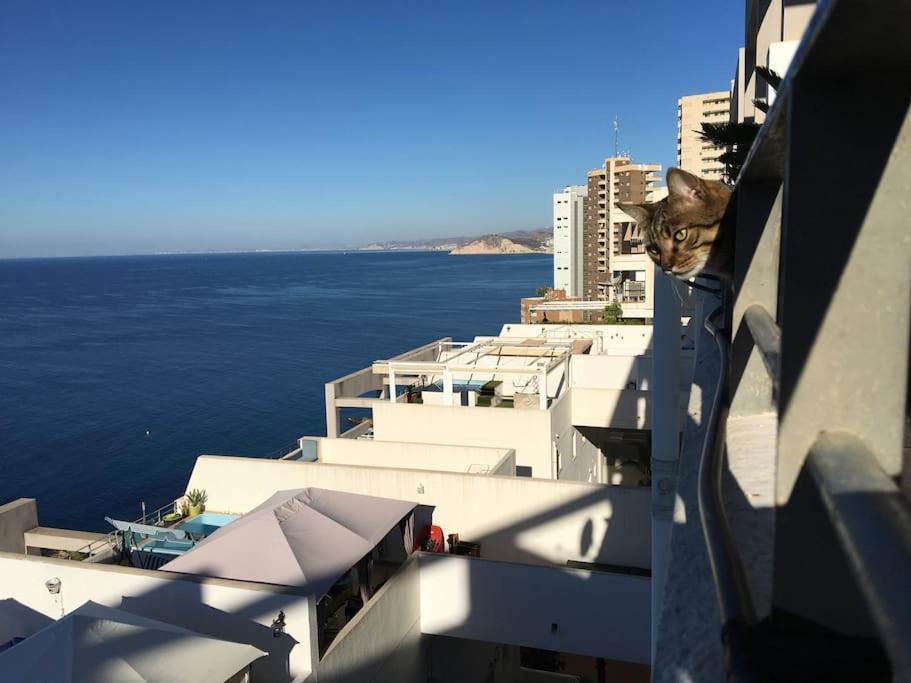 Piso En La Primera Linea Del Mar Con 2 Dormitorios 貝尼多姆 外观 照片
