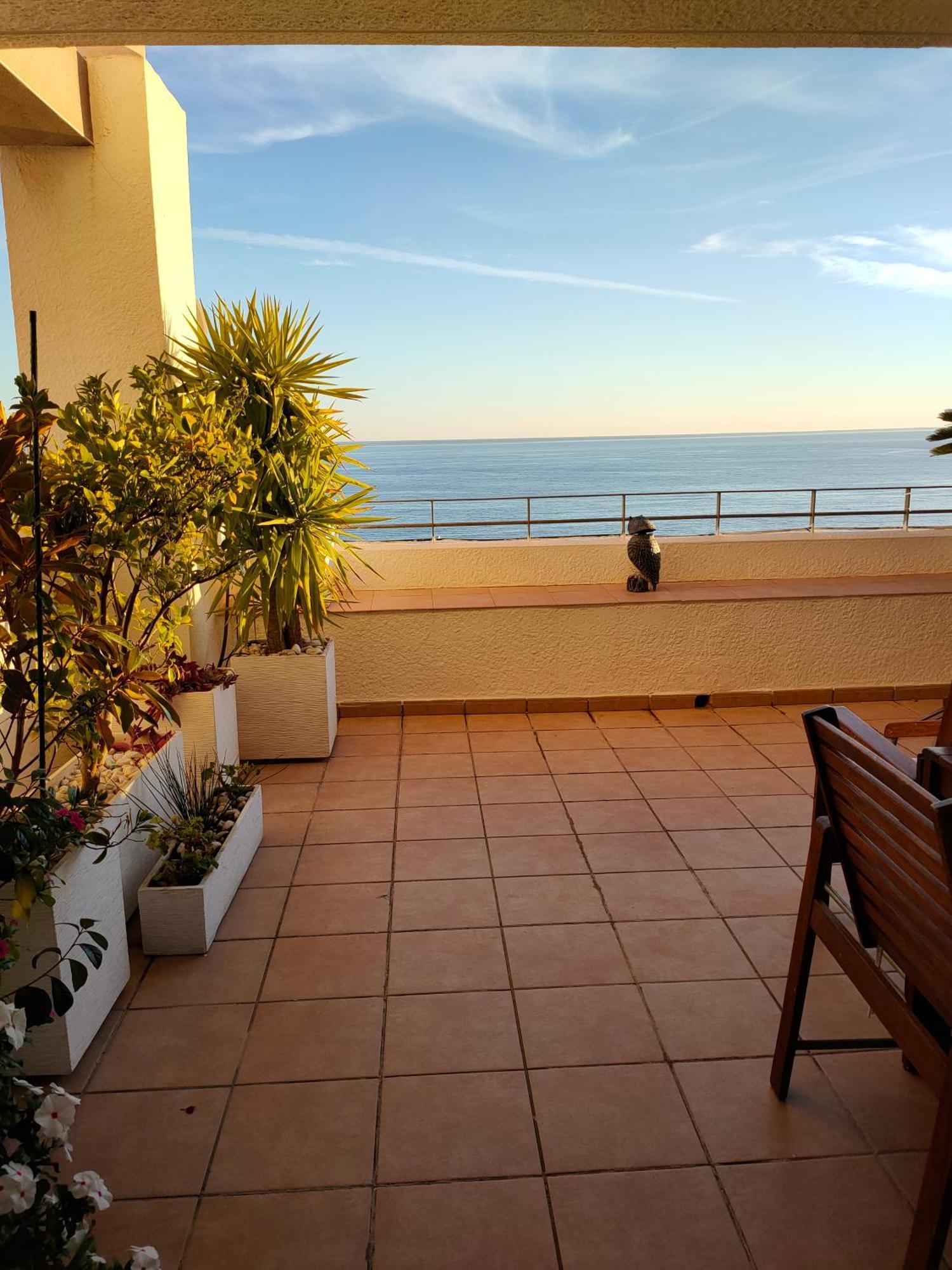 Piso En La Primera Linea Del Mar Con 2 Dormitorios 貝尼多姆 外观 照片